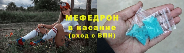 хмурый Аркадак