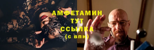 дурь Няндома