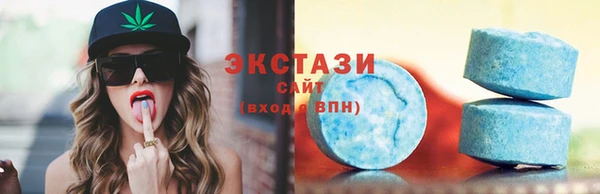 хмурый Аркадак