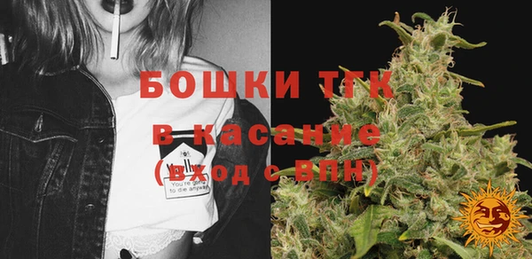хмурый Аркадак