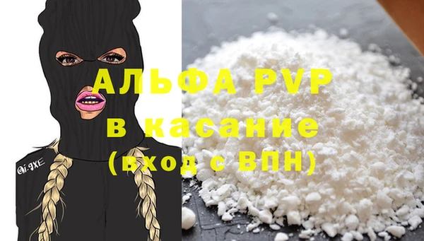 хмурый Аркадак