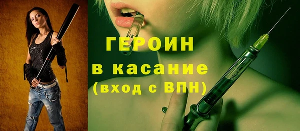 хмурый Аркадак