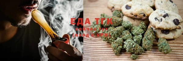 хмурый Аркадак