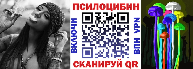 Галлюциногенные грибы Cubensis Ессентуки
