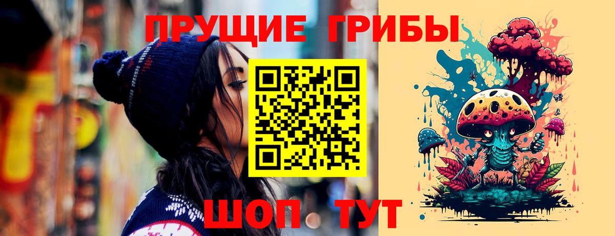 Галлюциногенные грибы Psilocybine cubensis  Псилоцибиновые грибы мицелий  Вход с VPN  Ессентуки 